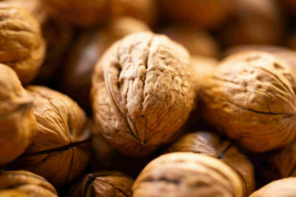 Lot hors saison : que faire en automne, hiver et printemps ?